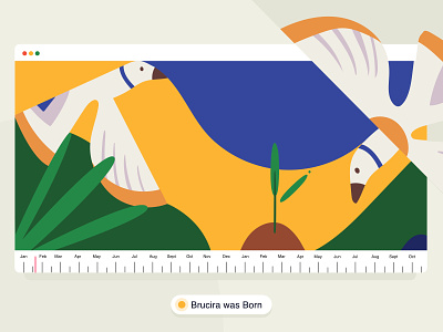Birth of Brucira ☀️ birds brucira design forest graphic illustration india journey leaf plant timeline ui ux vector web web design website website design