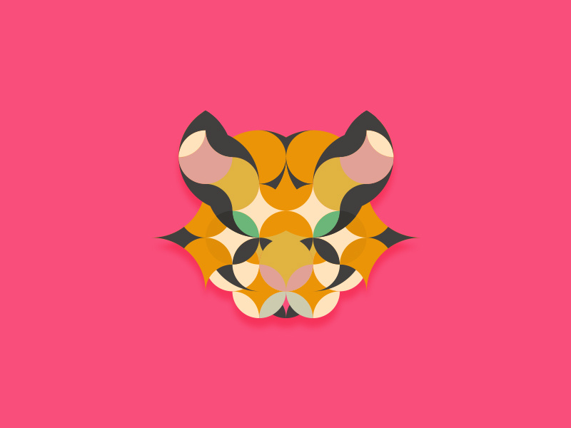Tiger illustration icons graphic design