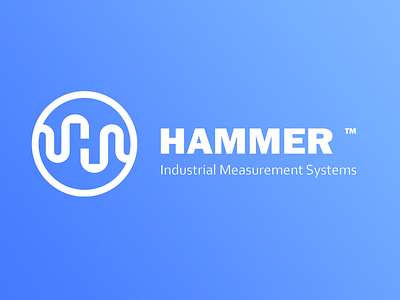 Hammer IMS Logo