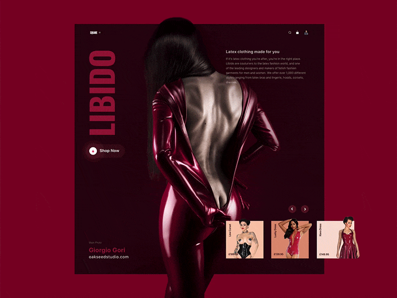 LIBIDO-concept fasion interaction interface slider square ui ux web