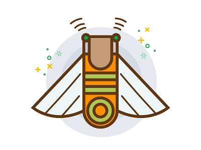 Cicada illustration
