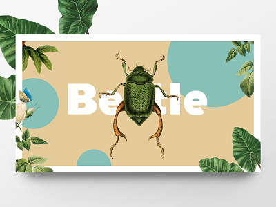 Beetle animals animation art direction branding collage colorful flowers fun graphic plants typography