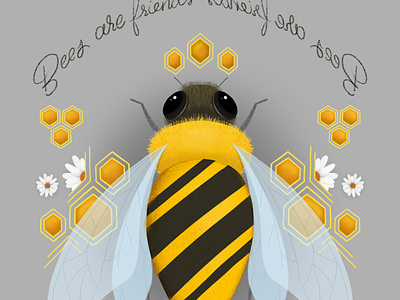 Bees Are Friends bee daisy honeycomb illustration lettering procreate