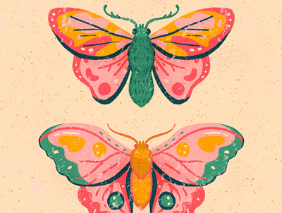 Sister Moths animals illustration insects moth pastels pink procreate stipple texture wallpaper