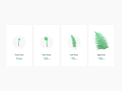 Pricing Illustrations branding fern illustration illustrator pricing vector