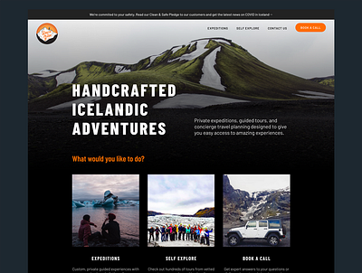 David The Guide Landing Page iceland landing page tour guide travel