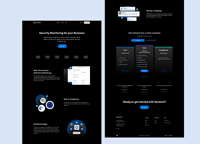 Sentient Security Landing Page cybersecurity home page landing page security