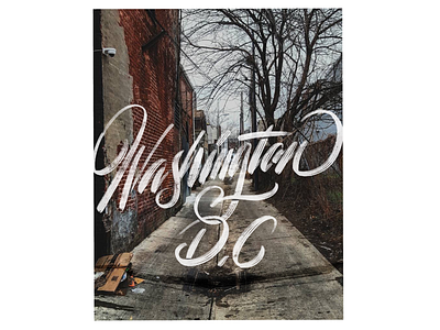 WASHINGTON D.C artist design drawings graphic hand lettering illustration ink lettering pencil procreate road trip typography usa words
