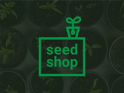 Seed shop logo box brand branding design graphic design green logo seed shop square