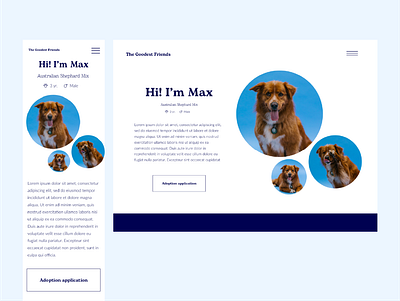 The Goodest Friend Dog Profile desktop dog dog adoption dog rescue dogs mobile pet pet adoption pet app pet care pet rescue pet search pets profile responsive web webdesign website