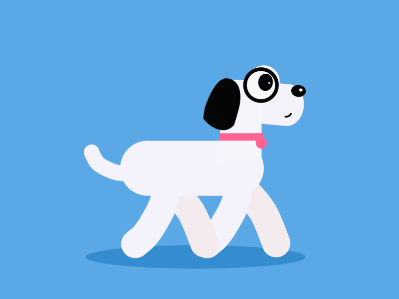Cute White Puppy 2d animation animation cartoon motion motiongraphics