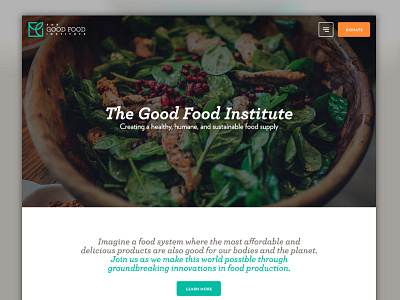 Good Food Institure bright colorful food header image homepage minimal sustainable food