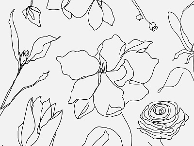 Flower Line Art | Patterns, Backgrounds & Elements background botanical design element floral aesthetic flower graphic design hand drawn illustration ink line art minimal pattern png psd simple sticker tattoo design vector wallpaper