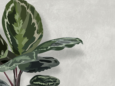 Plant Vector Art Backgrounds