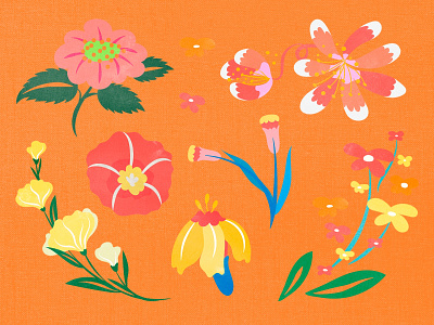 Beautiful Batik Flower Design Elements & Backgrounds background botanical bright colorful design floral flower freebie graphic design kit pack psd set sticker summer summer flower textile vector wallpaper