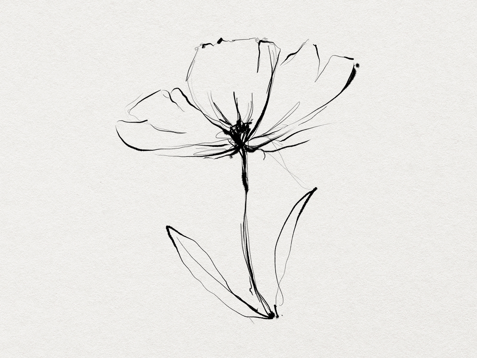 Minimal Aesthetic Flowers | Line Art by rawpixel.com for rawpixel on ...