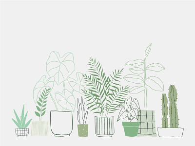 Houseplant Vector Art | Doodle Illustration