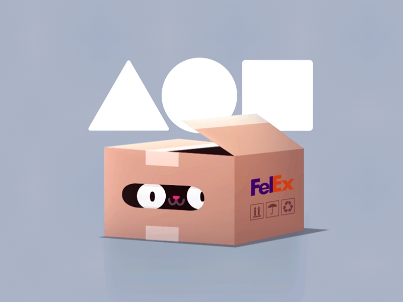 I am on Foundation afterfx animation box caja cat catinabox foundation gato gif loop moho nfts