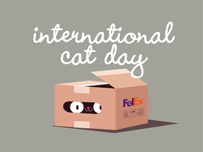 International cat day cat catlover day gif