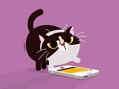 International Cat Day animation cat catday diadelgato gif instagram interbnational like motion pet vector
