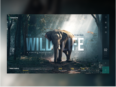 Wild Life Adventure branding cool colors green ui ui design wilderness wildlife