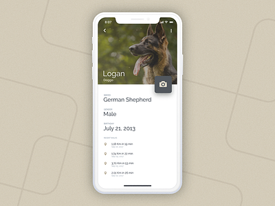 Dog Walk App - Dog's Profile app dog interface iphone x mobile photo profile ui ui ux walk