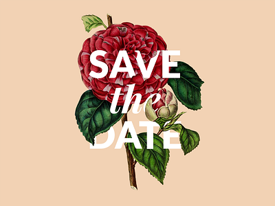 Save the Date🌹