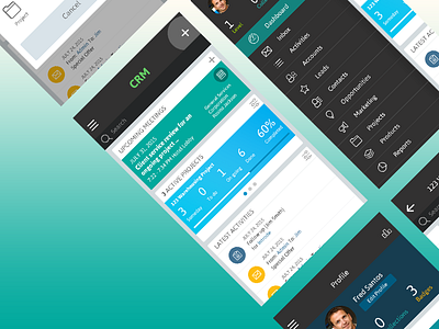 Mobile CRM Concept Design