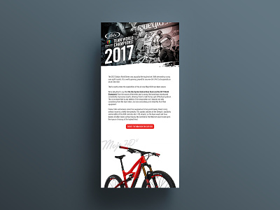 Ibis Cycles Email Design