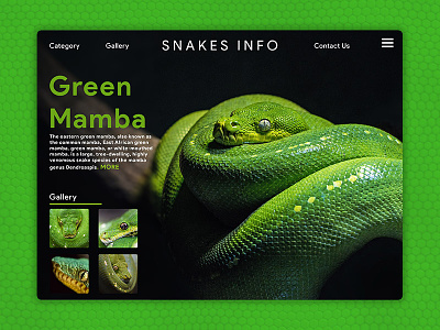 snakes info web page UI adventure brand design landing page ui ui ux design ux web webdeisgn