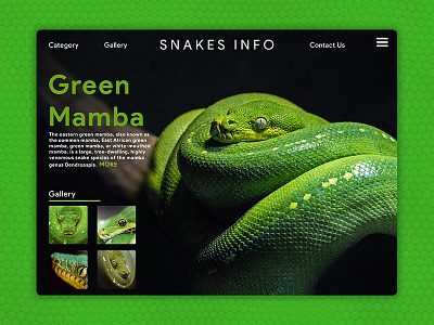 snakes info web page UI