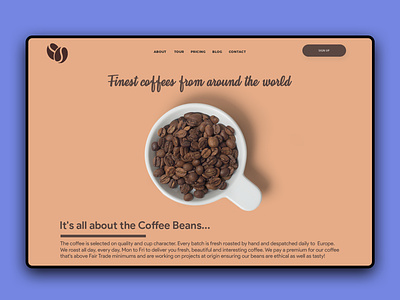 minimal coffee selling web page designinspiration graphicsdesign interface minimal minimalism ui uidesign uiux ux uxdesign webdesign