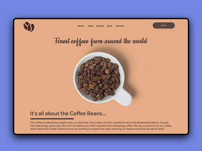 minimal coffee selling web page