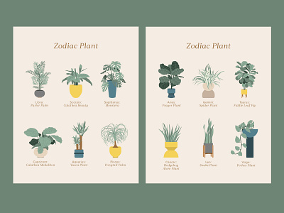Zodiac Plant abstract abstract illustration branding garden graphic design home house hunker illustration illustrator interior interior illustration plants