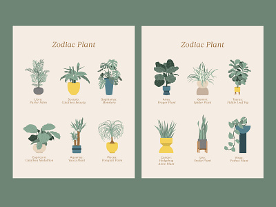 Zodiac Plant