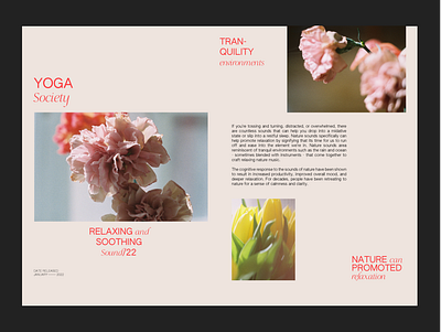 Sounds of Nature - Art Direction/Layout cover design film photography gra graphic design indesign layout magazine minimal typography