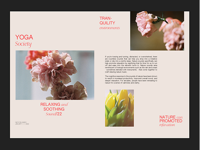 Sounds of Nature - Art Direction/Layout