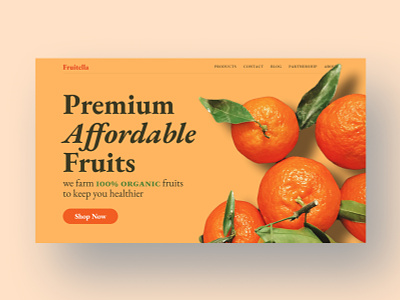 Fruitella design hero minimal photography photography branding type typography ui ux web website