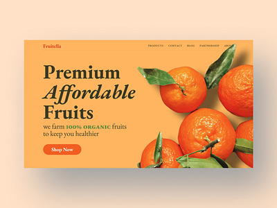 Fruitella design hero minimal photography photography branding type typography ui ux web website