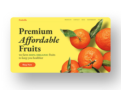 Fold Module For A Fruits Store