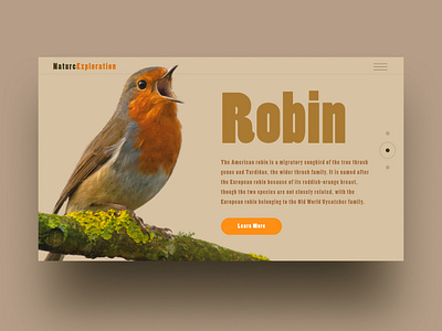 Bird bird design exploration gui nature orange photoedit photography photoshop photoshop art planet robin story typography ui uidesign ux vintage warm web