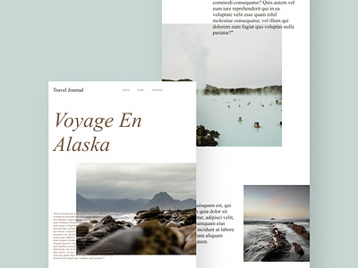 Travel Diary app design flat minimal typography ui ux web website