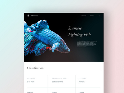 Fish Info app design flat minimal type typography ui ux web website