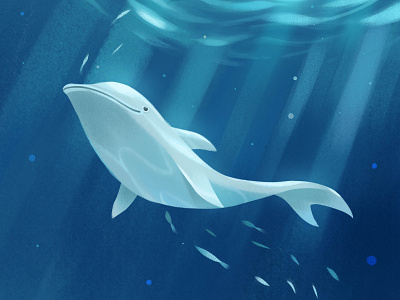 Dolphin blue illustration simple