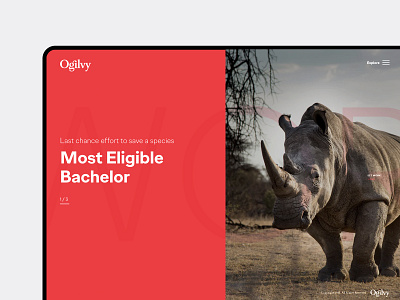 Ogilvy Africa Website ogilvy ogilvy africa ui ux website