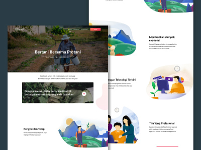 Protani Website adobexd empowering farmers farmers market illustrations mockup procreate ui ux website design