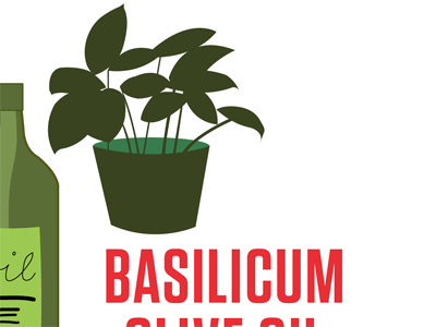 Basilicum basilicum illustration tungsten vector