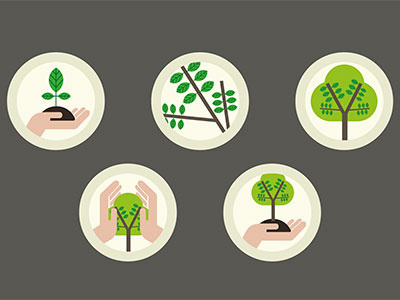 Tree evolution icons beige brown circle coaching people eco environment evolution green growing growth icons illustrate illustration tree vector