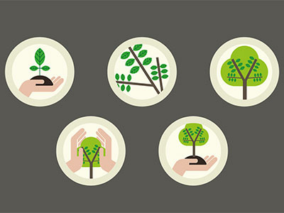 Tree evolution icons