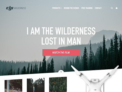 Landing Page 003 cta dailyui drone forest home landing page ui ux web wilderness